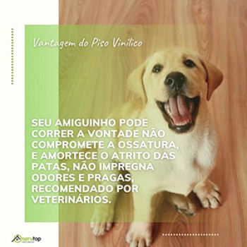 Piso Vinílico ou Laminado em Campo Limpo